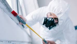 Real Estate Pest Inspections in Corning, NY